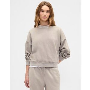 NWT Relaxed Wedge Crewneck Sweatshirt